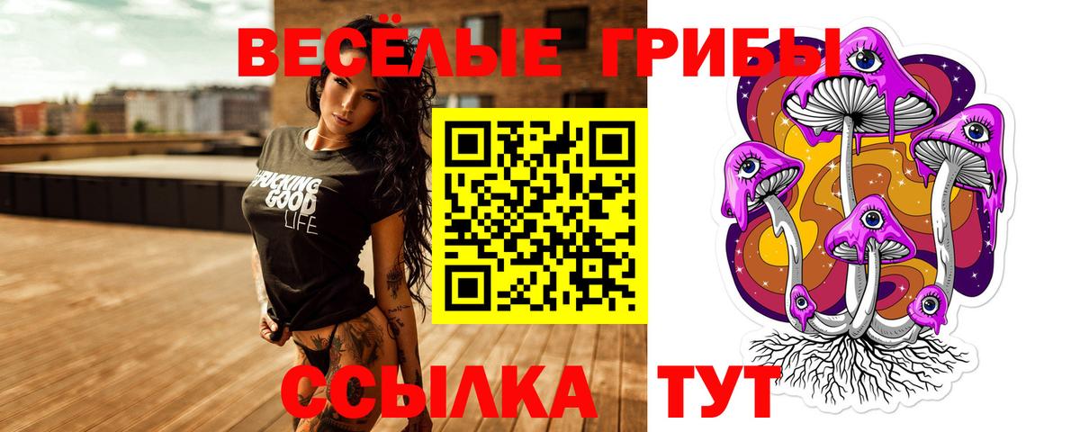 Псилоцибиновые грибы прущие грибы  магазин  наркотиков  Реутов  Вход с VPN 