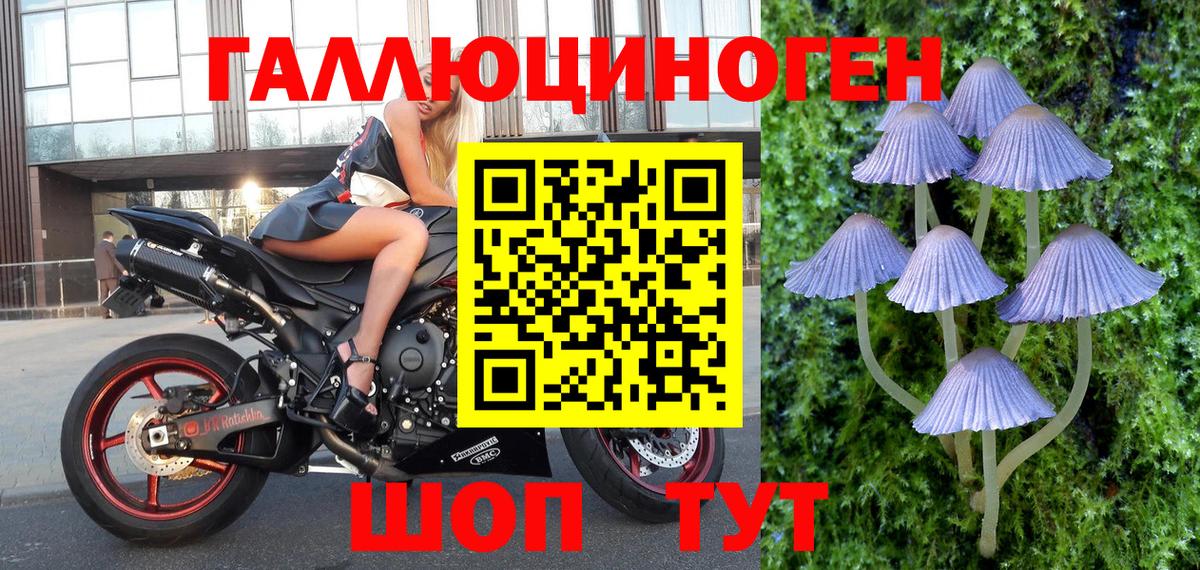 Псилоцибиновые грибы прущие грибы Реутов